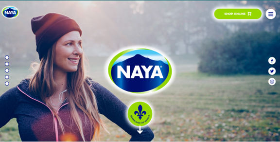 Screenshot of Naya.com
